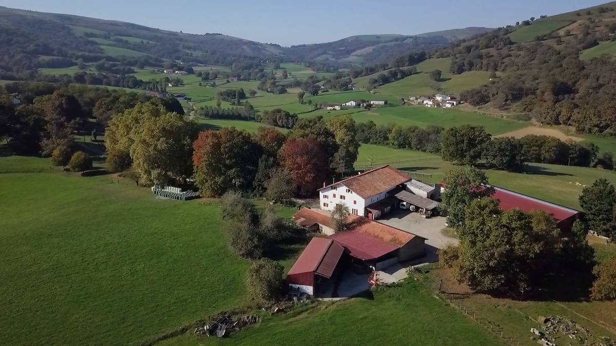 Agerria etxaldearen transmisioa Landibarren