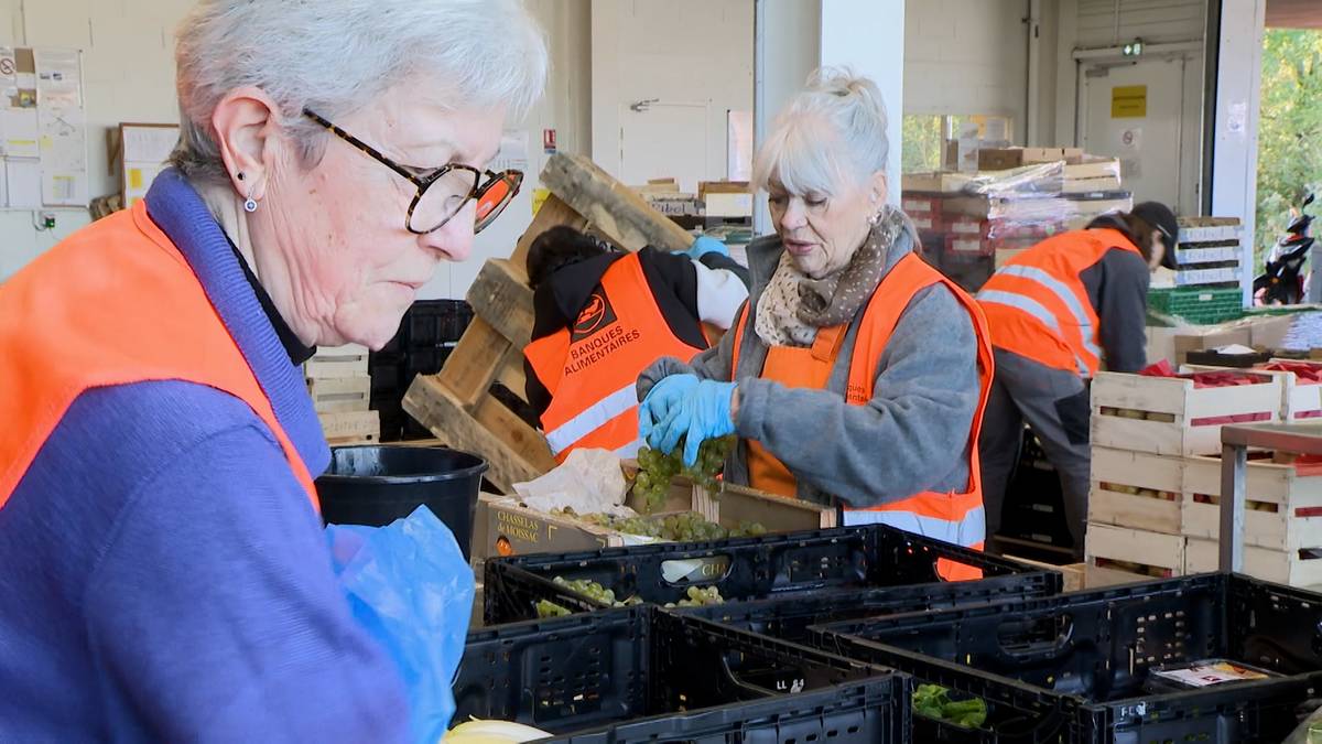 Hazkurri Bankua, elkartasun elikadura argitan