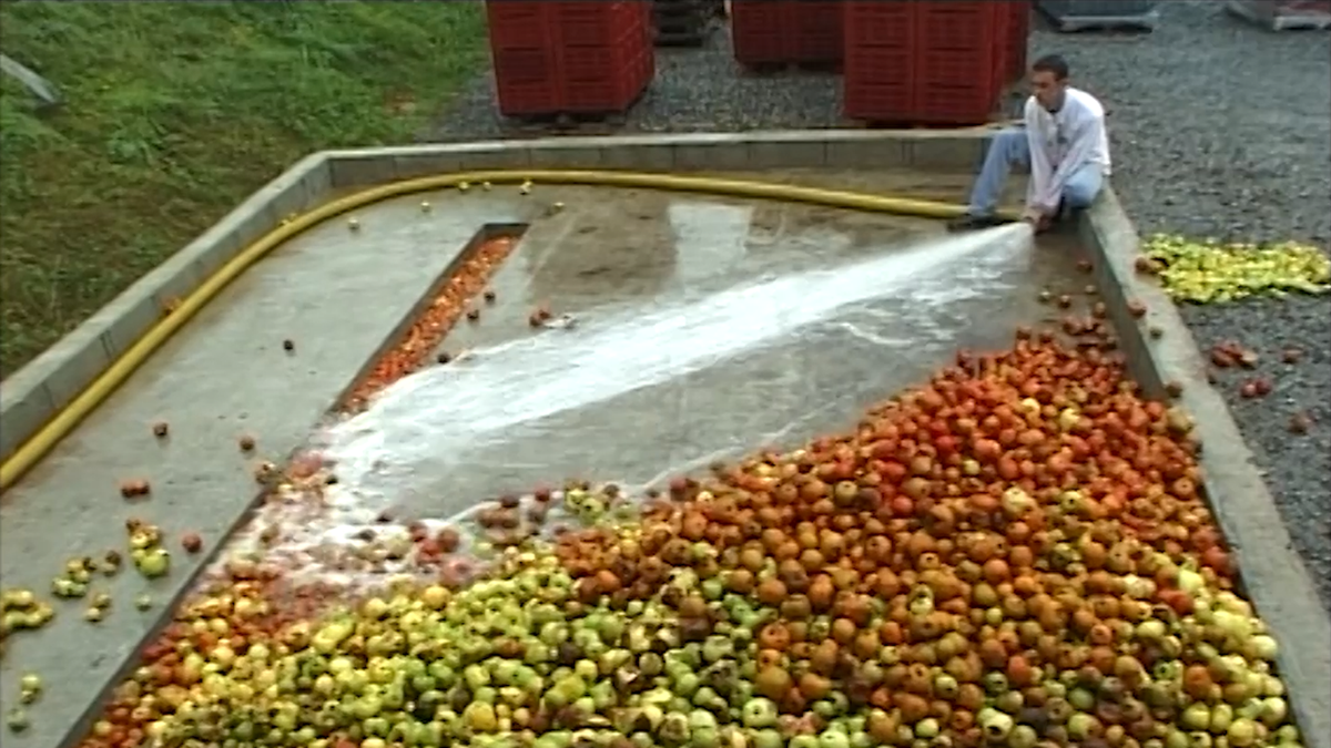 Landibarre eta Larzabaleko sagardiak 2001ean